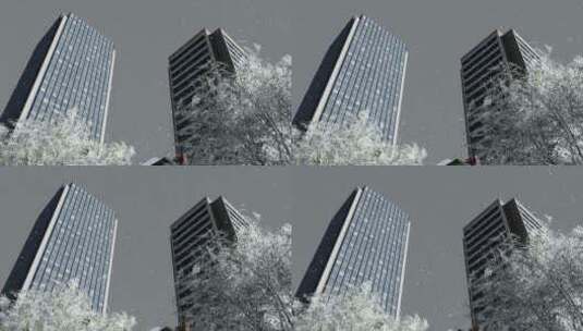 雪天的摩天大楼仰拍高清在线视频素材下载