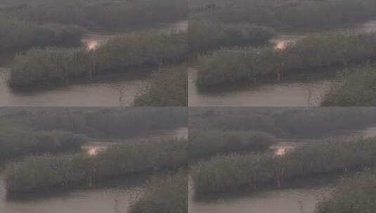 河边狂风日落芦苇荡LOG视频素材高清在线视频素材下载
