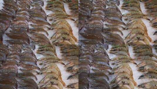 实拍 生鲜 海鲜 食品 基围虾高清在线视频素材下载