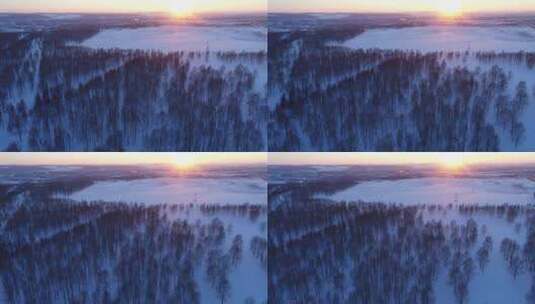 航拍内蒙古牙克石市郊外冬季森林暮色高清在线视频素材下载