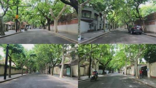 上海封城中的初夏街道环境高清在线视频素材下载