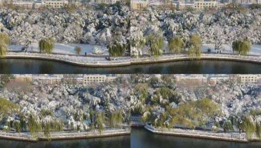 航拍山东济南大明湖景区冬季雪景高清在线视频素材下载