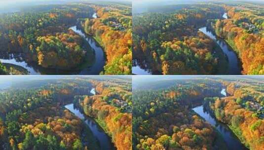 秋天日出时的森林和河流鸟瞰高清在线视频素材下载