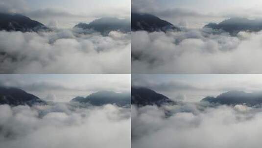 山中云雾，山中航拍穿云_0250高清在线视频素材下载