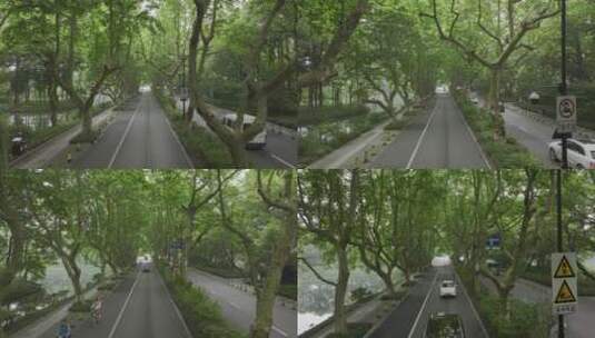 航拍中国杭州夏天杨公堤梧桐树车道车流高清在线视频素材下载