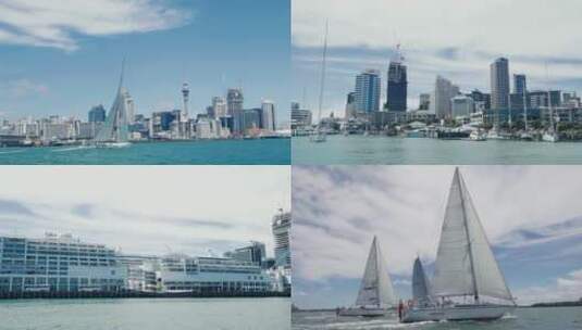 新西兰  水 帆船 大海  船 划帆船 出海高清在线视频素材下载