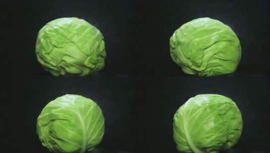 蔬菜圆白菜高清在线视频素材下载