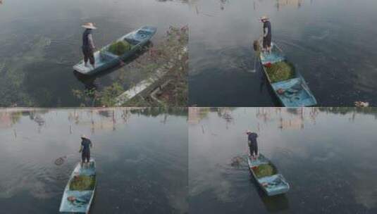 环卫工人视频乘小舟清理湖面打捞水草高清在线视频素材下载