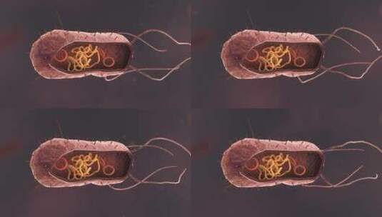 医学病原体病毒病原体病菌细菌医学三维动画高清在线视频素材下载