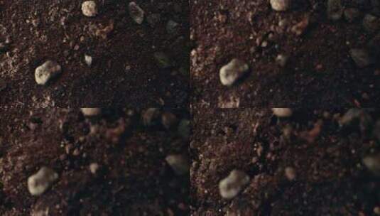 震动的土壤特写高清在线视频素材下载