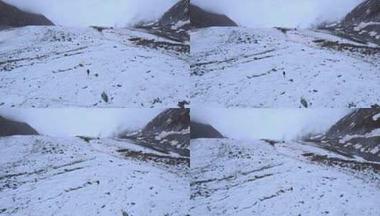 在雪山中行走高清在线视频素材下载