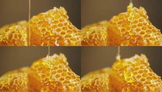 蜂蜜蜂王浆蜂巢蜜洋槐蜜椴树蜜蜂皇浆高清在线视频素材下载