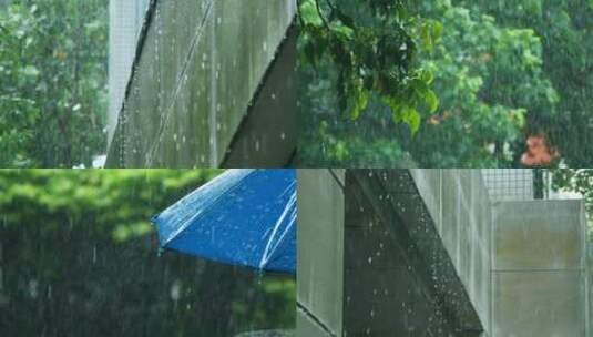 下雨天的树叶，雨中打伞的行人视频素材高清在线视频素材下载