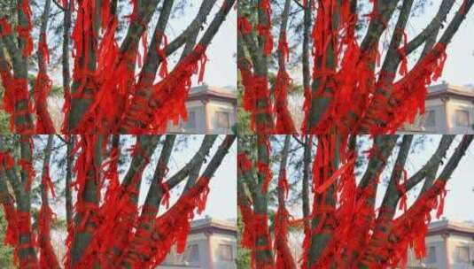 寺庙里在微风中飘动的红色祈福带高清在线视频素材下载