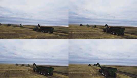 机械化收割小麦高清在线视频素材下载