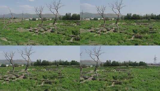巴基斯坦塔克西拉遗迹考古地拍高清在线视频素材下载