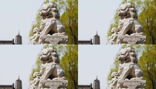 石狮雕塑威严矗立特写高清在线视频素材下载