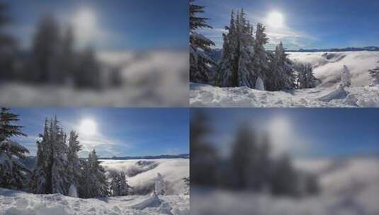 雪山云海云雾飘动大雪山雪松山脉平流云雾高清在线视频素材下载