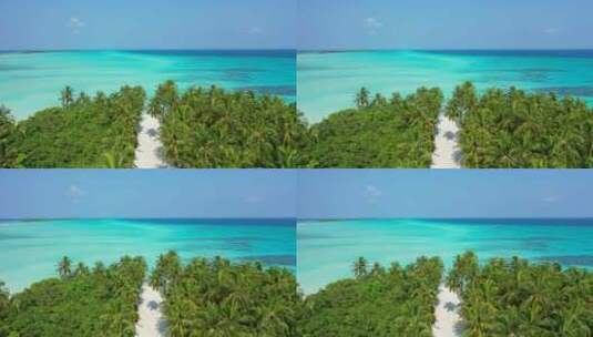蔚蓝海边高耸的椰子树像一幅画卷高清在线视频素材下载