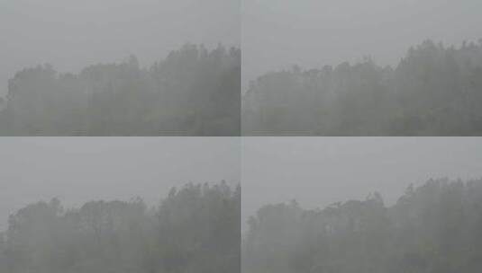 台风森林狂风暴雨风吹树林风吹雨打树木下雨高清在线视频素材下载