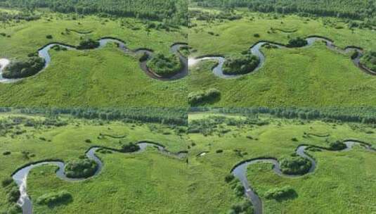 航拍森林湿地曲折的河湾高清在线视频素材下载
