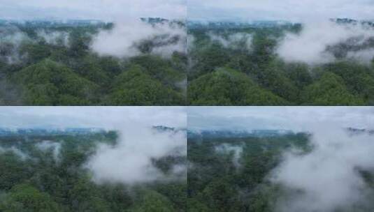 山川河流山水中国山河大气壮丽自然风景高清在线视频素材下载