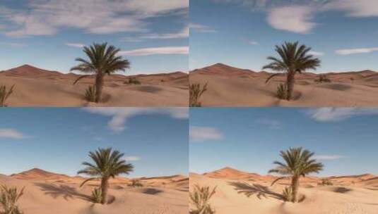 沙漠的风景高清在线视频素材下载