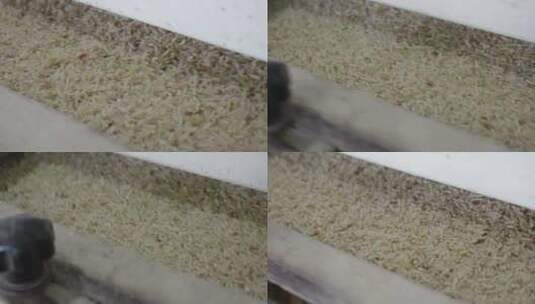 米厂大米实拍过程(10bit可调色)高清在线视频素材下载