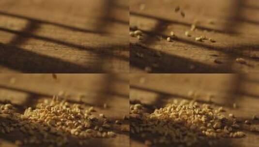 小麦粒掉落4高清在线视频素材下载