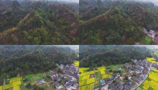 俯瞰山脚下的乡村油菜花盛开美丽风景高清在线视频素材下载