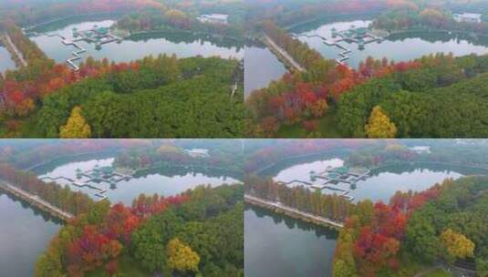 武汉东湖风景区深秋风光高清在线视频素材下载