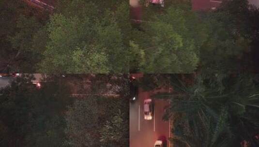 深圳深南大道绿化带夜景俯拍高清在线视频素材下载