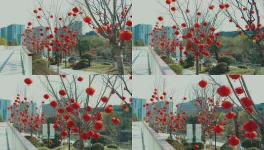 余杭未来城城市公园挂满红灯笼的树木高清在线视频素材下载