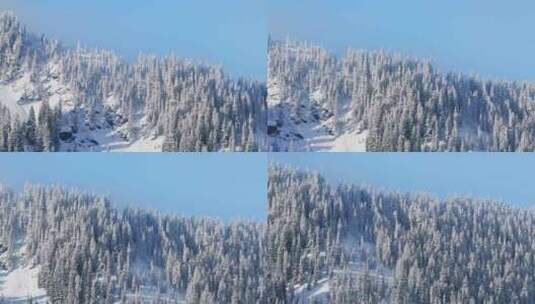 北美美丽的白雪覆盖景观山地自然美国冬季高清在线视频素材下载