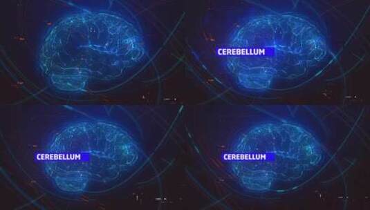 小脑标题数字抽象脑损伤背景高清在线视频素材下载