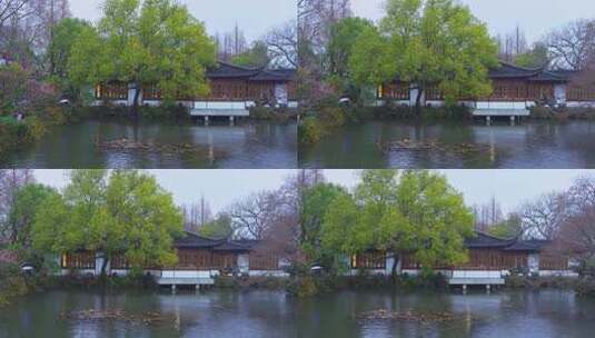 杭州西湖郭庄雨天风景高清在线视频素材下载