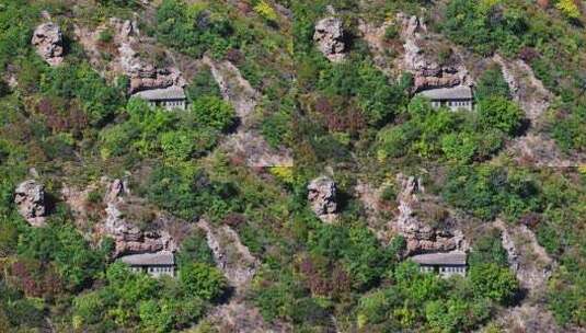 辽宁朝阳槐树洞自然风景高清在线视频素材下载