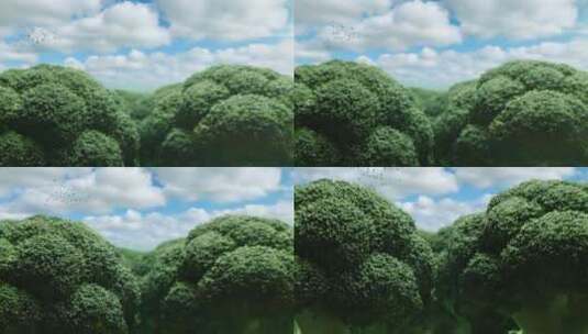 植树造林环境保护高清AE视频素材下载