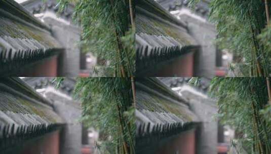 春季北京大觉寺内春风吹动的竹林高清在线视频素材下载