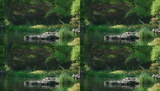 77 杭州 风景 小溪 流水 唯美高清在线视频素材下载