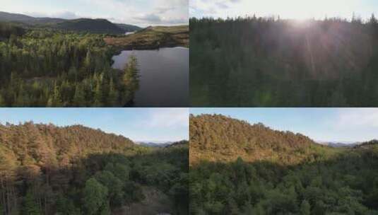 森林湖水群山阳光照耀航拍高清在线视频素材下载