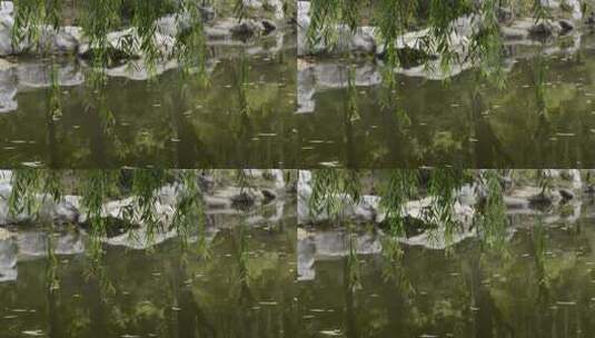 青山绿水池塘高清在线视频素材下载