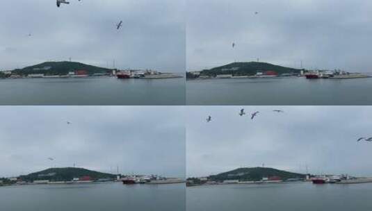 山东蓬莱-长岛海上游船，海上观光喂海鸥高清在线视频素材下载