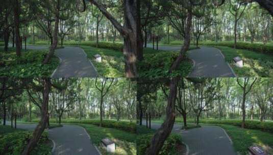 武汉青山和平公园境内园林高清在线视频素材下载