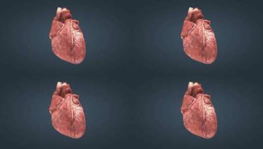 三维心脏跳动心脏疾病病变动画09高清在线视频素材下载