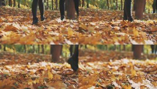 落叶上散步的情侣高清在线视频素材下载