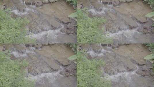 河流小溪青草泉水河边河水溪流合集高清在线视频素材下载