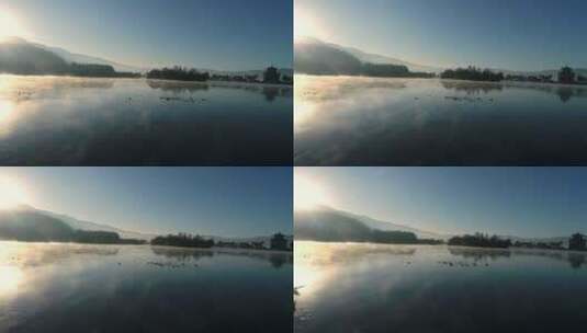 早晨，城里湖面上有一群野鸭高清在线视频素材下载