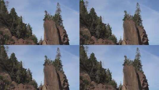 岩石上的树高清在线视频素材下载