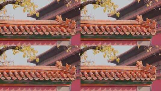 8k实拍北京故宫紫禁城秋天高清在线视频素材下载